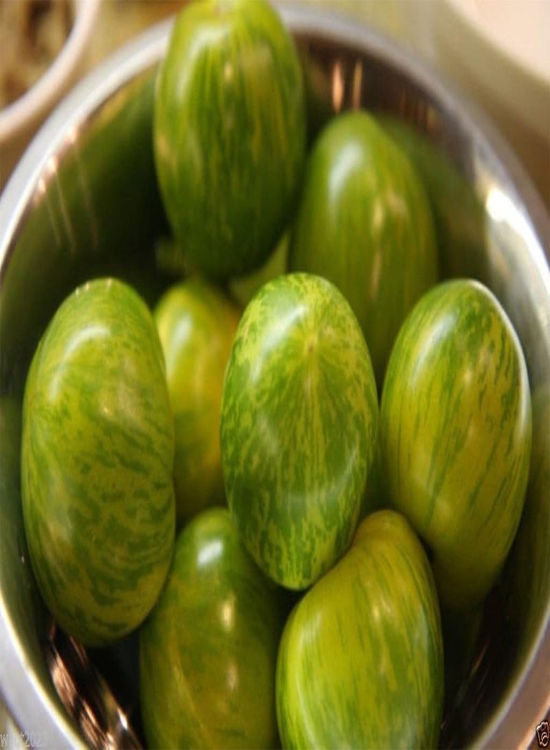 جي جوت بذور الباذنجان التايلاندية "بيتش سيام" 200 بذور الخضروات، إرث من تايلاند! - Image 3