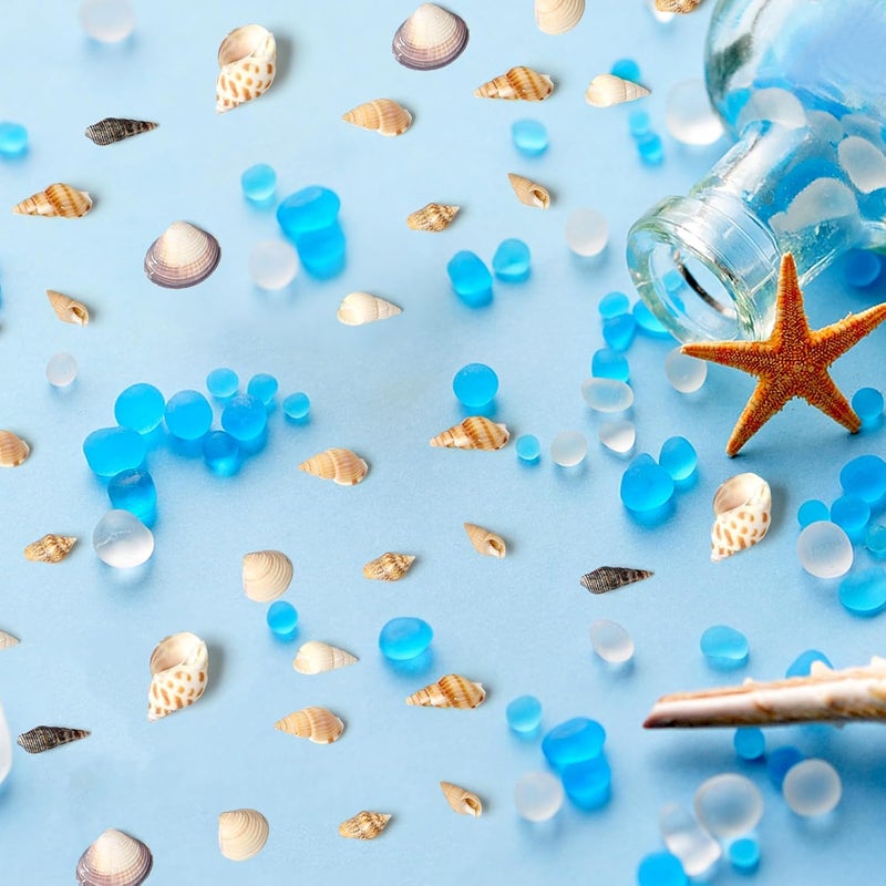 Ira Pollitt 200-210 Pcs Tiny Natural Mixed Ocean Sea Shells Tiny Miniature Beach Critter Seashells Variety Beach Decor Crafts for Arts & Crafts Projects, Home Decoration, Fish Tank Vase Fille (4 Pack) - Image 5