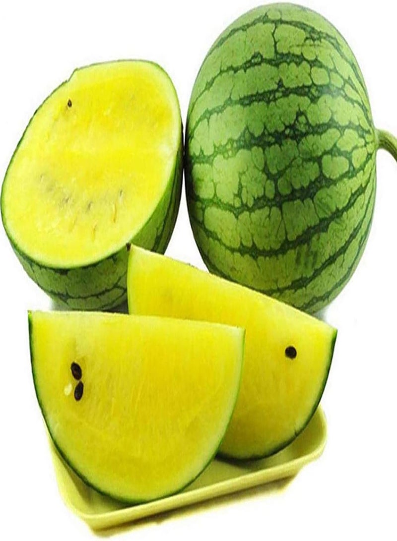 GGOOT 100Pcs Premium Fruit Seeds, Watermelon Seeds Rustic Juicy Mixed Color Watermelon Fruit Seeds for Farm Yellow - Image 2