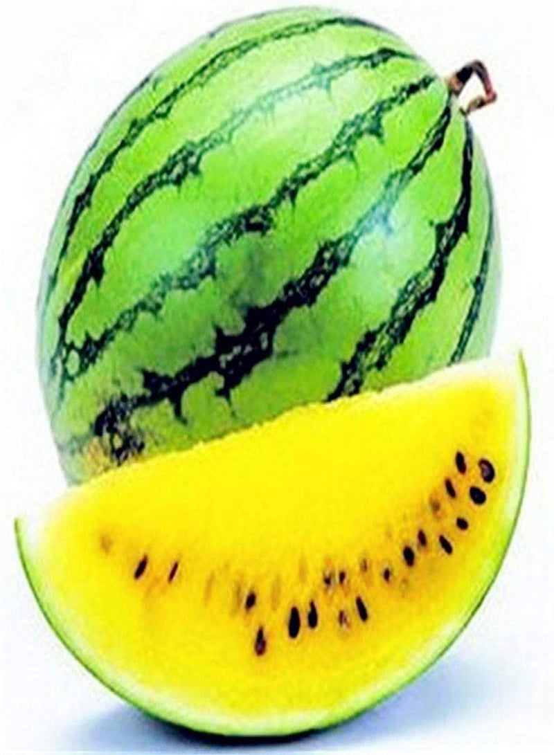 GGOOT 100Pcs Premium Fruit Seeds, Watermelon Seeds Rustic Juicy Mixed Color Watermelon Fruit Seeds for Farm Yellow - Image 1