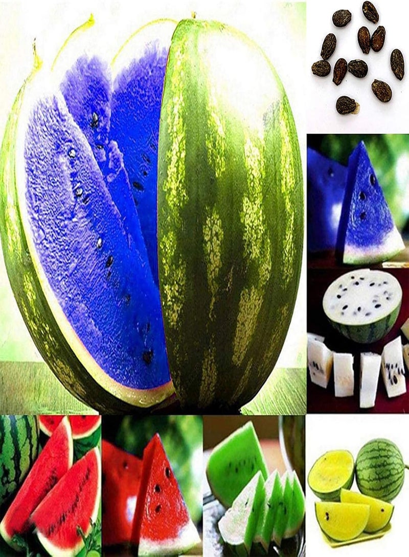 GGOOT 100Pcs Premium Fruit Seeds, Watermelon Seeds Rustic Juicy Mixed Color Watermelon Fruit Seeds for Farm Yellow - Image 4