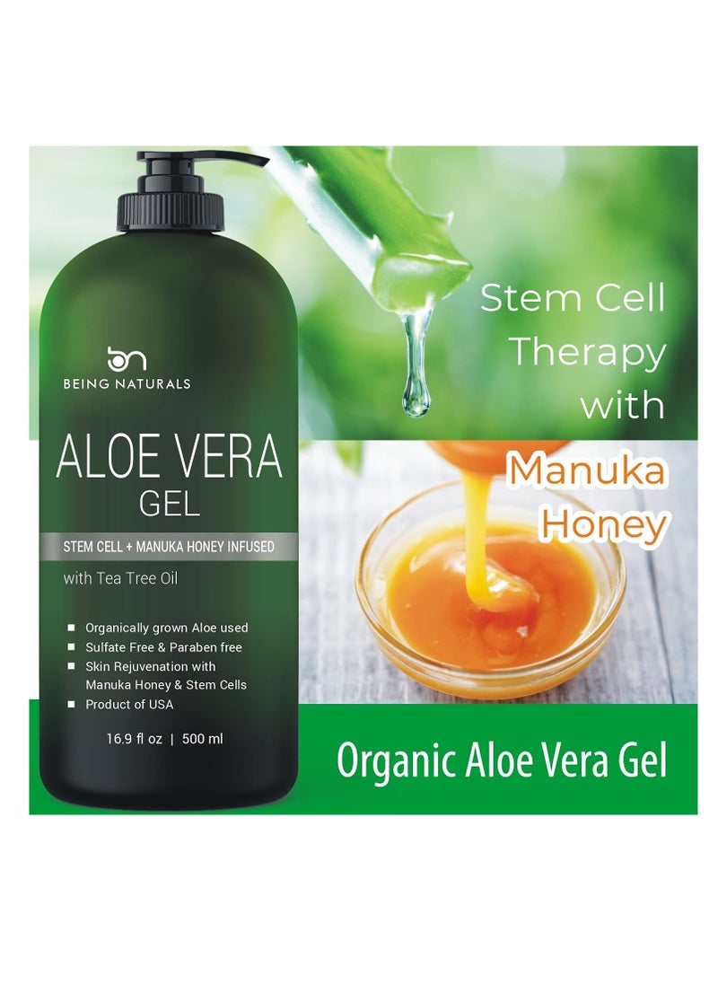 Being Naturals Aloe vera Gel - from 100% Pure Organic Aloe Infused with Manuka Honey, Stem Cell, Tea Tree Oil - Natural Raw Moisturizer for Face, Body, Hair. Perfect for Sunburn, Acne, Razor Bumps 16.9 fl oz  - Image 4