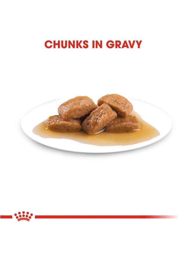 ROYAL CANIN Size Health Nutrition Maxi Adult Wet Food Pouches - Image 4