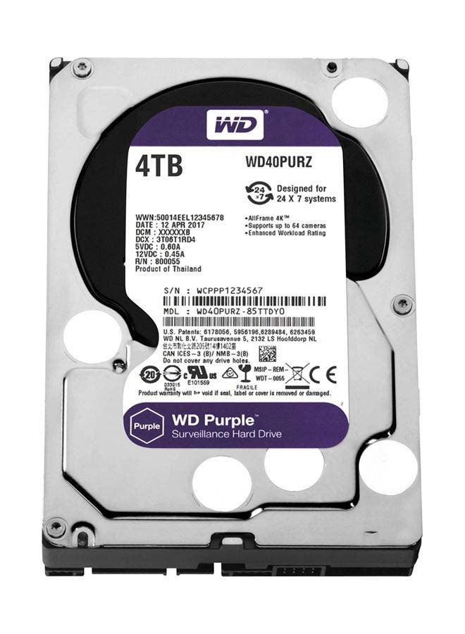 دبليو دي محرك أقراص صلبة سيرفيلانس 4 TB - Image 1
