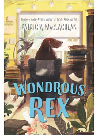 Wondrous Rex - pzsku/Z9AFACEE10B2586C472A3Z/45/1746186929/d0902bf7-e04f-4ae6-b64d-d9a32d1171fc
