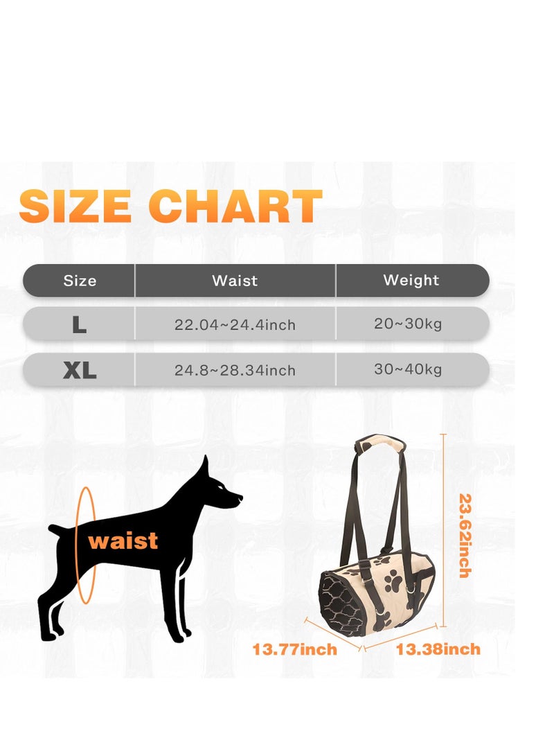 Zikra Adjustable Dog Lift Harness for Rear Leg Support, Rehab Sling for Weak, Elderly, or Arthritic Dogs - Durable Nylon-Wrapped Sponge for Comfort and Stability. - Image 4