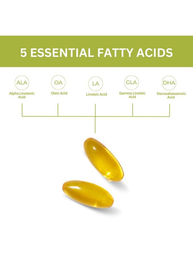 youngevity Youngevity Ultimate EFA - Organic Source of Essential Fatty Acids | Supports Heart Health | Made from Borage, Flax & Fish Oil | 60 Soft Gel Capsules  - Image 5