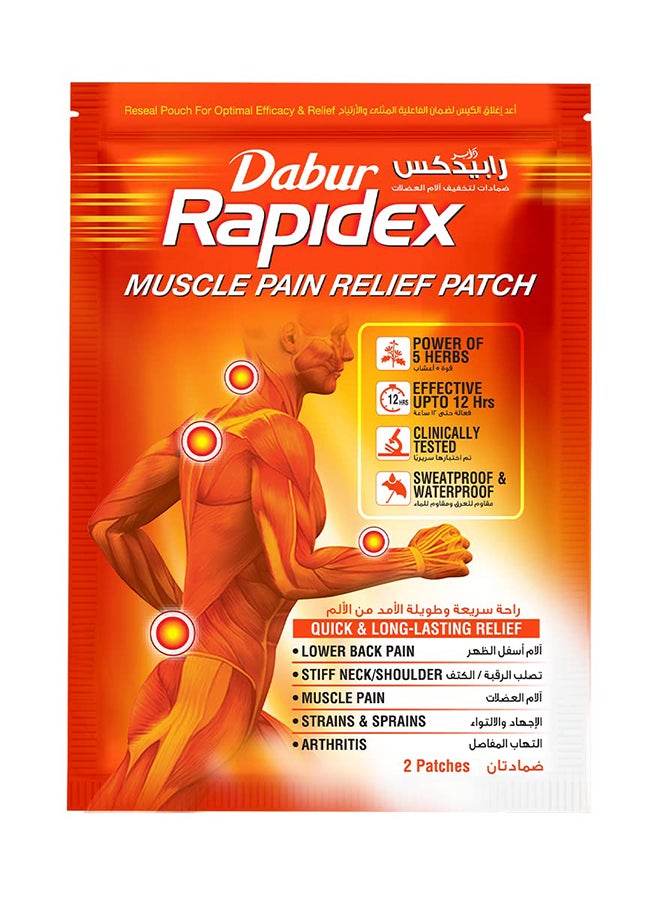 Dabur Rapidex Pain Relief Patch 10S 