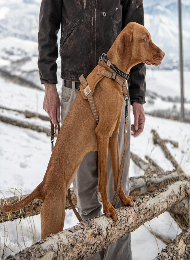 كارهارت سرج كلاب من كارهاارت مصنوع من النايلون بنقشة البط، قابل للتعديل بالكامل مع مقبض تحكم سريع وتفاصيل عاكسة، لون بني كارهاارت، مقاس كبير - Image 5