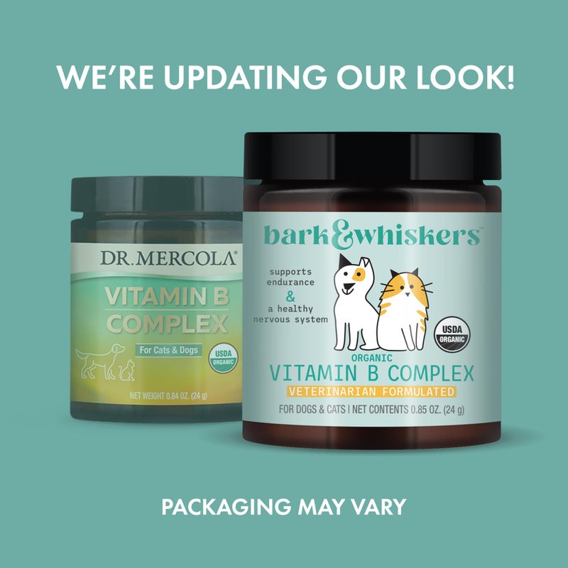 Dr. Mercola Bark & Whiskers Organic Vitamin B Complex, 0.85 Oz. (24 g), 60 Scoops, Supports A Healthy Nervous System & Endurance, Veterinarian Formulated, Non-GMO, Certified USDA Organic, Dr. Mercola - Image 2