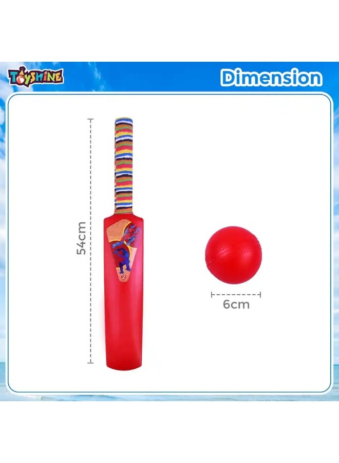 Toyshine Bat and Ball Junior Cricket Combo Size 2 for Kids 3-5 Years - Assorted - Image 4