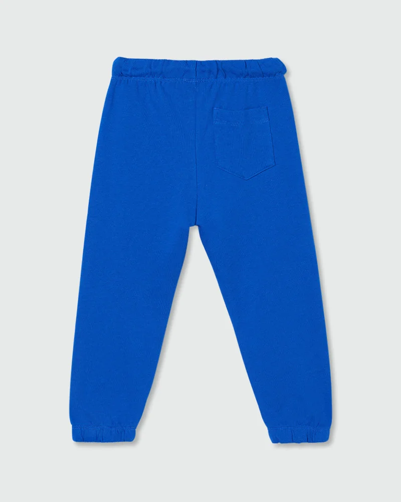 او في اس Blue