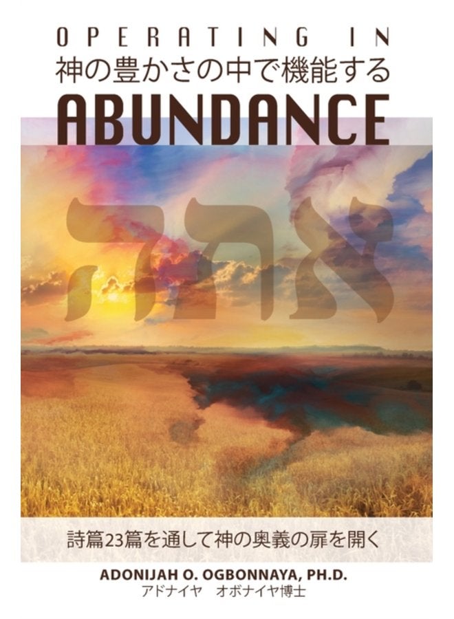 Operating in Abundance Japanese Edition - Paperback