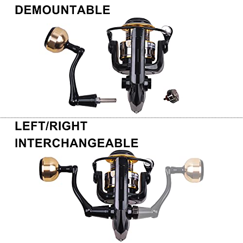 Shaddock Fishing Spinning Fishing Reel, High Speed Spinning Reel with 5.2:1 Gear Ratio, 22-30 LB Powerful Drag System, 9+1BB, Lightweight Smooth Fishing Reels Freshwater Saltwater - Image 5