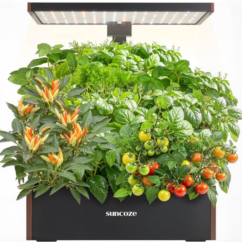 SUNCOZE 20 Pods Hydroponics Growing System Kit Indoor Herb Garden with Grow Light 30W 10L Large Water Tank with Adjustable Height to 25 Quiet Pump Gardening Gifts Green