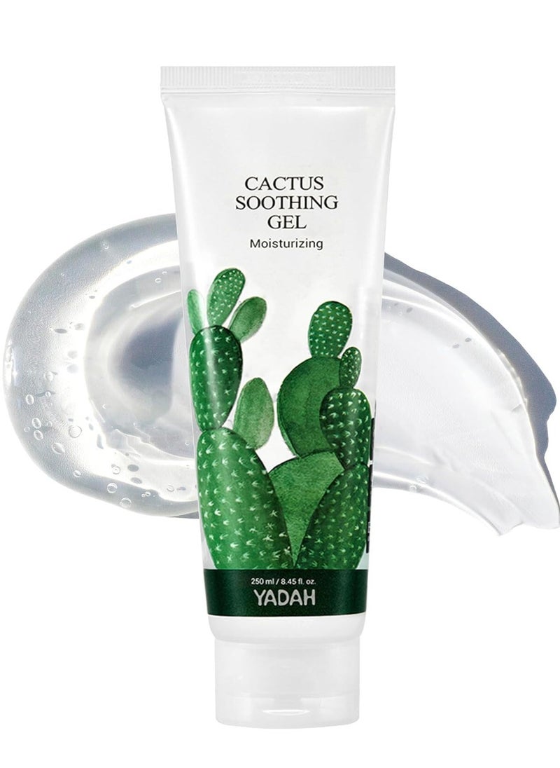 YADAH YADAH Cactus Soothing Gel (8.45fl oz) - Sunburn Relief, Calm, Cool & Soothe Irritated Skin, Face Redness. Korean Skin Care. 95% Cactus Extract, Vegan.  - Image 1