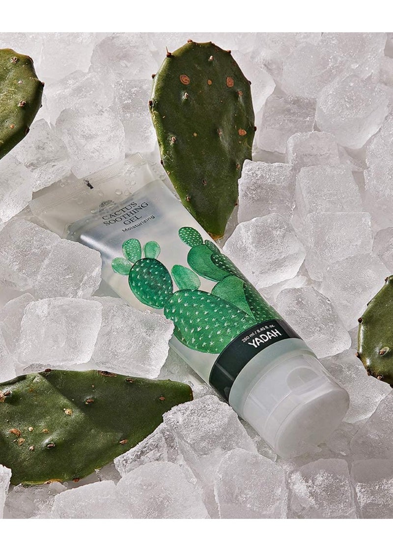 YADAH YADAH Cactus Soothing Gel (8.45fl oz) - Sunburn Relief, Calm, Cool & Soothe Irritated Skin, Face Redness. Korean Skin Care. 95% Cactus Extract, Vegan.  - Image 4