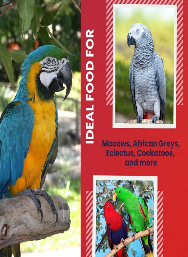 أبا ABBA 3500 طعام صحي للببغاء، مزيج بذور، مكسرات، فواكه، خضراوات، فيتامينات - 5 أرطال - Image 5