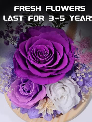 FIACO Preserved Flowers in Glass Dome Forever Fresh Flowers for Delivery Prime Purple Eternal Rose That Last 1-3 Years,Birthday Flowers Gifts for Women Mom Grandma Wife Friends - Image 2