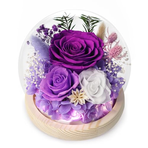 FIACO Preserved Flowers in Glass Dome Forever Fresh Flowers for Delivery Prime Purple Eternal Rose That Last 1-3 Years,Birthday Flowers Gifts for Women Mom Grandma Wife Friends - Image 1