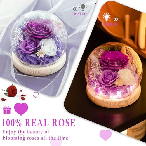 FIACO Preserved Flowers in Glass Dome Forever Fresh Flowers for Delivery Prime Purple Eternal Rose That Last 1-3 Years,Birthday Flowers Gifts for Women Mom Grandma Wife Friends - Image 3