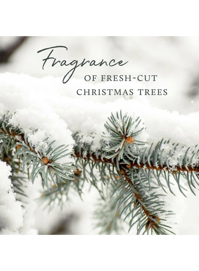 Thymes Frasier Fir Hand Lotion 240ml/8.25oz - Image 5