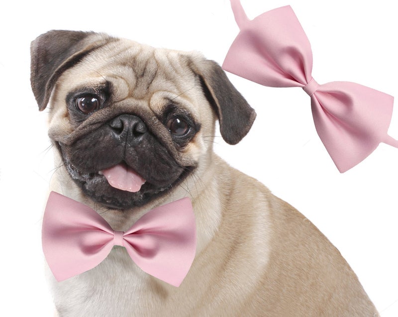 Jumbo Size Adjustable Party, Function, Weeding Cum Formal Costume Neck Bow Tie Cum Necktie for Dog/Puppy/Cat/Kitten (Light Pink)