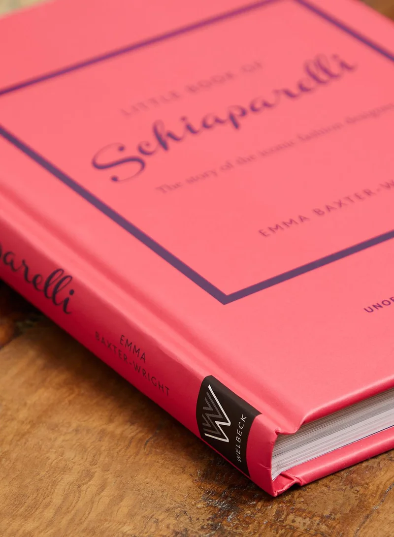 All Sorted Little Book Of Schiaparelli