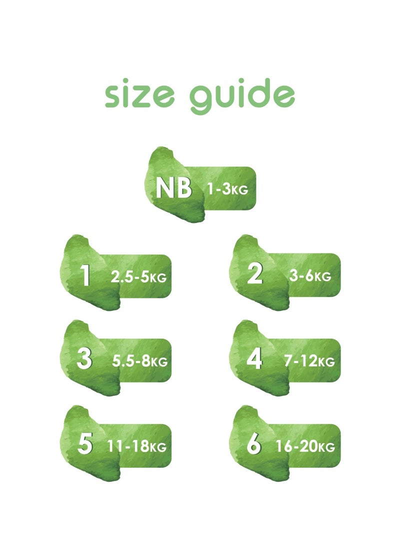 PureBorn - Organic Diapers Size-1 Upto 5kg Single Pack With Daisy Print 34 Diapers - Image 1