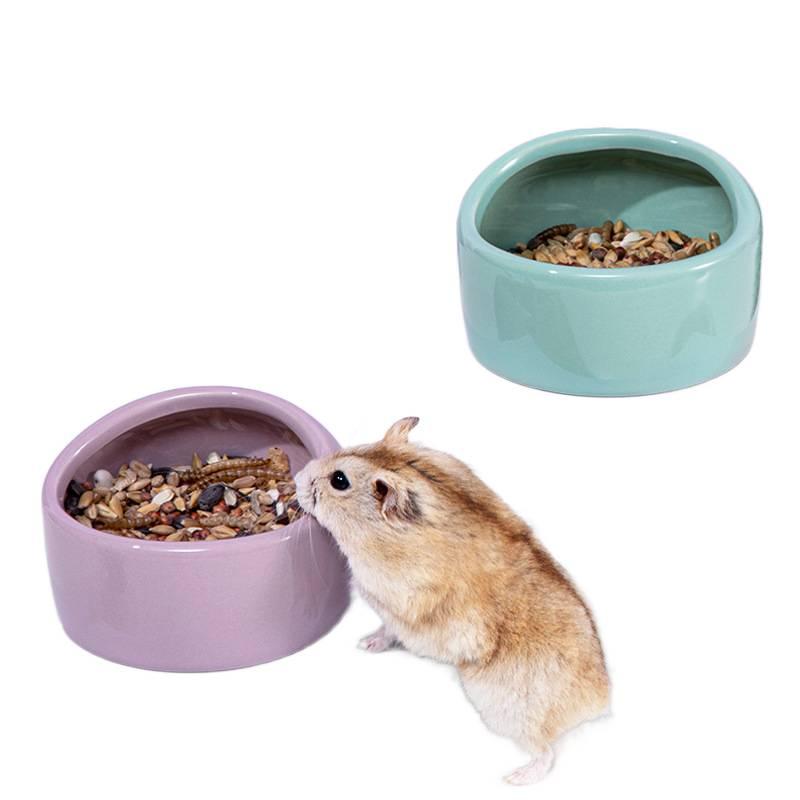 Pet Bowl Home Use Feeding Bowl Pet Feeding Accessory Easy Clean Bowl Floor Mat Use Food and Water Daily Feeding Indoor Feeding for Cats Orange - Image 1