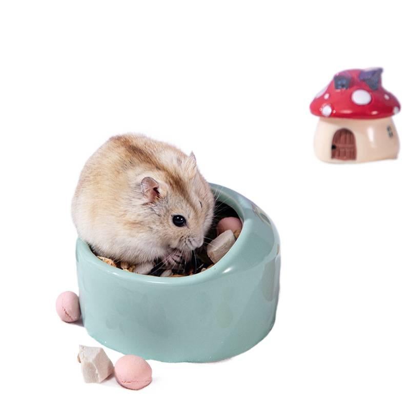 Pet Bowl Home Use Feeding Bowl Pet Feeding Accessory Easy Clean Bowl Floor Mat Use Food and Water Daily Feeding Indoor Feeding for Cats Orange - Image 4