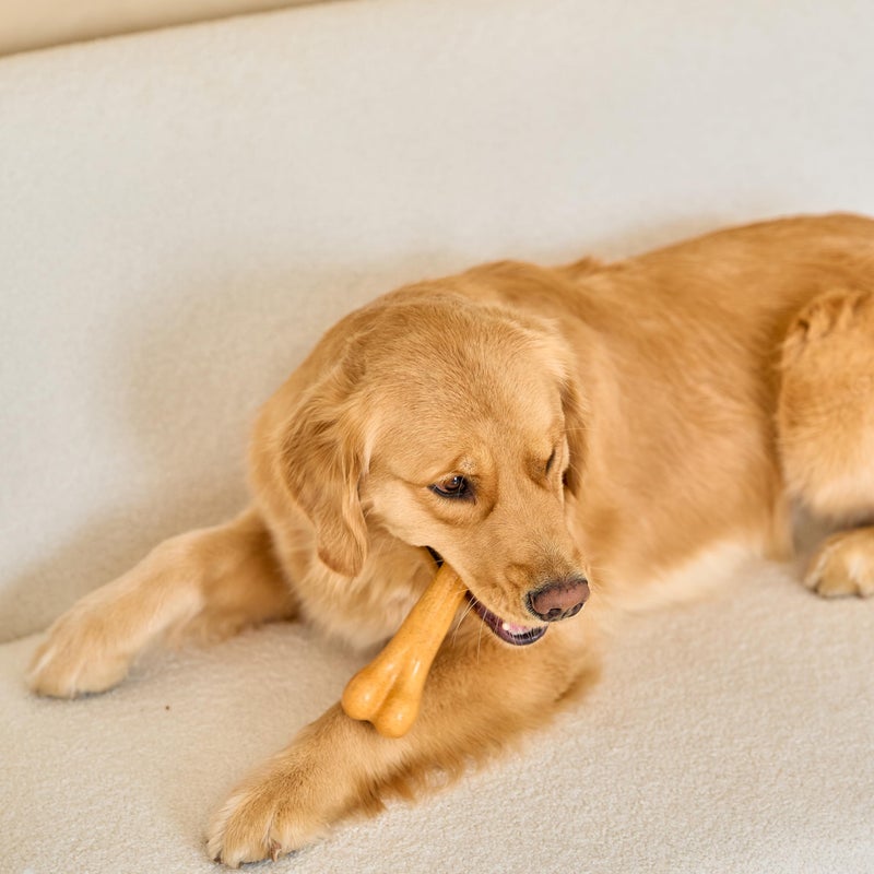 SPOT Bam-Bones Plus Dino Bone - Bamboo Fiber & Nylon, Durable Long Lasting Dog Chew for Aggressive Chewers â€“ Great Toy for Dogs Under 90lbs, Non-Splintering, 7.25in Peanut Butter Flavor Allergen Free - Image 3