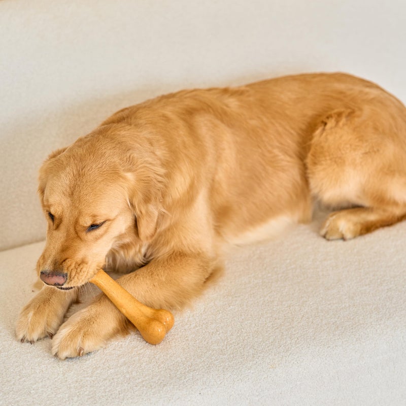 SPOT Bam-Bones Plus Dino Bone - Bamboo Fiber & Nylon, Durable Long Lasting Dog Chew for Aggressive Chewers â€“ Great Toy for Dogs Under 90lbs, Non-Splintering, 7.25in Peanut Butter Flavor Allergen Free - Image 4