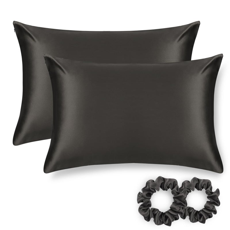 ألاسكا بير دب دب حرير وسادة للشعر ومجموعة الجلد من 2 نقي 2 22 Momme Mulberry Silk Pillow Cases Size Size for Bliss أفضل من إغلاق ساتين بولي ساتين (2pc الفحم) - Image 1