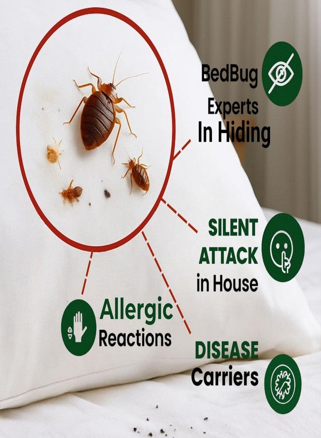 Amish 8 Liter Bed Bug Repallent Concentrate | Ultra-Fast Knockdown on Bed Bugs & Eggs | Powerful Long-Lasting Formula for Hidden Infestations | Most Effective Home Pest Control - Image 2
