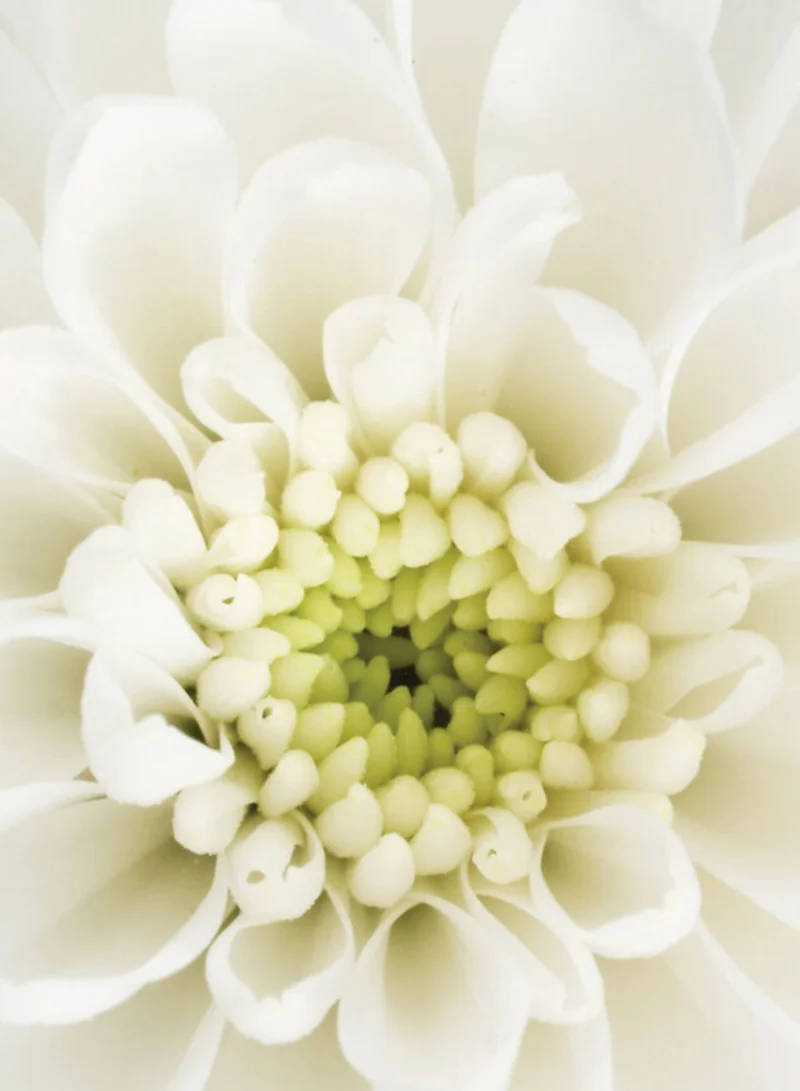 Yves Rocher Edt Moment De Bonheur Spray 50Ml