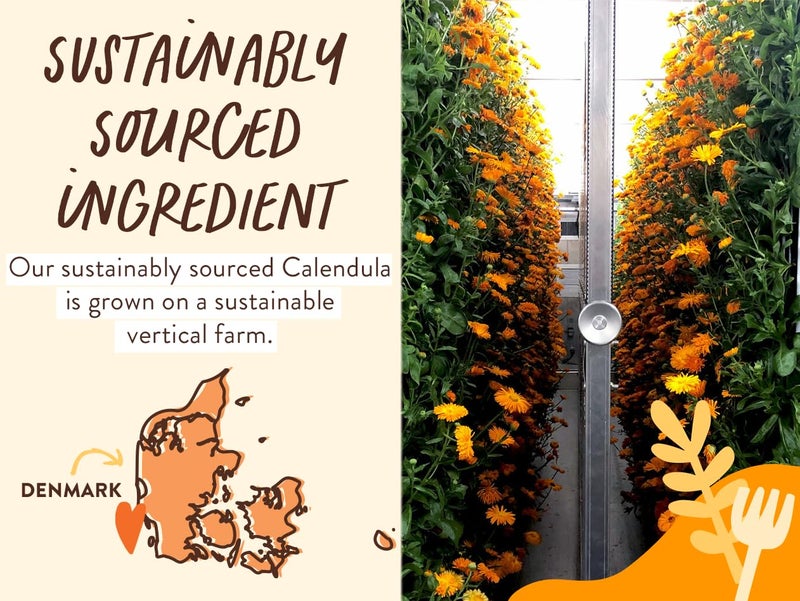 Babo Botanicals Moisturizing Oat & Calendula 2-in-1 Shampoo & Wash - For Dry or Sensitive Skin - For all ages - Lightly Scented - Vegan - 16 Fl Oz - Image 3