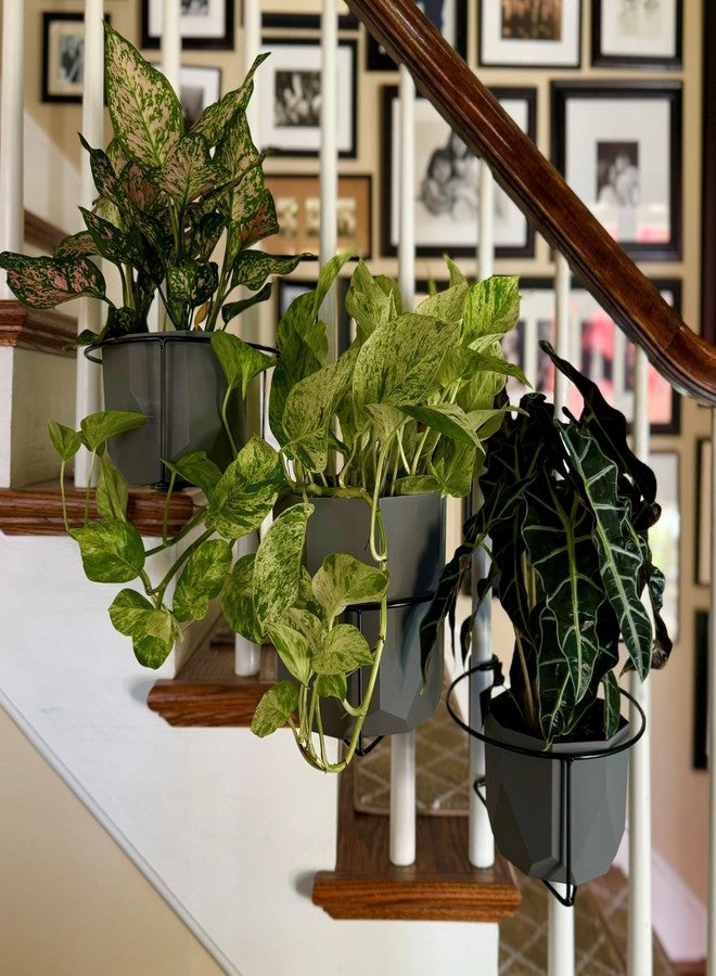 Bloem Railscapes Bloem 0.5-0.75" - 1 Pack - Floating Railing Planter Holder - Tool-Free Installation, Up to 10" Planter, Gardening & Plants, 15lb Capacity - Image 2