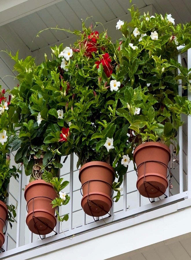 Bloem Railscapes Bloem 0.5-0.75" - 1 Pack - Floating Railing Planter Holder - Tool-Free Installation, Up to 10" Planter, Gardening & Plants, 15lb Capacity - Image 5
