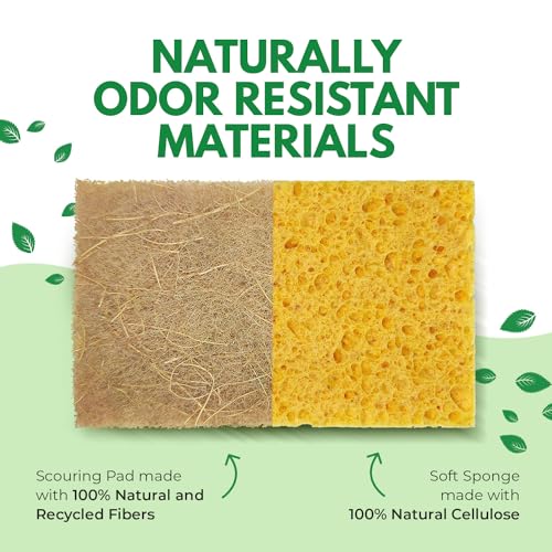 AIRNEX Natural Kitchen Sponges Pack of 18 - Biodegradable Cellulose and Coconut Husk Walnut Scrubbers - Odor Free Non Scratch - Eco Friendly Quick Drying Dishwashing Sponges - Image 4