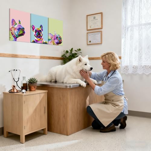 Mistyefly 3 Piece French Bulldog Wall Art Dog Canvas Wall Art - French Bulldog Painting with Built-in Wooden Frame (12x16x3 inches) - Lightweight & Ready to Hang, for Living Room, Animal Wall Decor for Pet Shop & Pet Hospital - Image 5