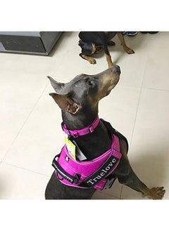Creation Core Creation Core Reflective Dog Collar with Ring Breathable Mesh Soft Padded Adjustable Nylon Pet Collar 0.8" Wide, Pink M  - Image 4