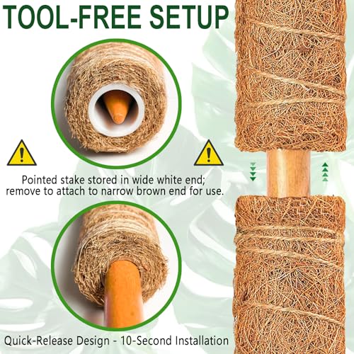 Soupiar 4 Pack 22 Inch Stackable Moss Pole - Thick & Sturdy Natural Coir Totem Plant Support & Garden Stakes for Monstera & Pothos, Indoor Climbing Vining Houseplants, 70" H Max - Image 3