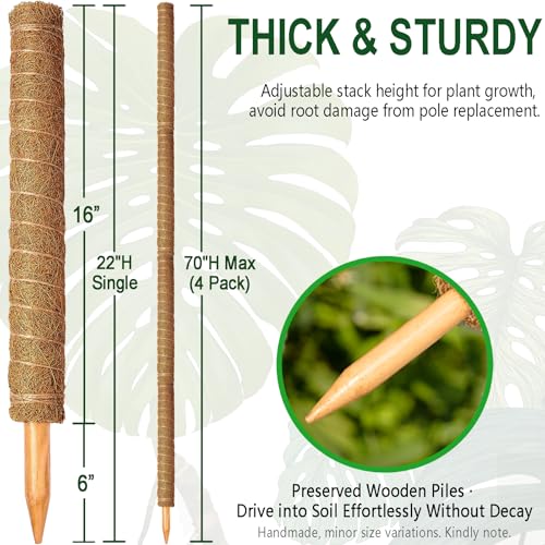 Soupiar 4 Pack 22 Inch Stackable Moss Pole - Thick & Sturdy Natural Coir Totem Plant Support & Garden Stakes for Monstera & Pothos, Indoor Climbing Vining Houseplants, 70" H Max - Image 2
