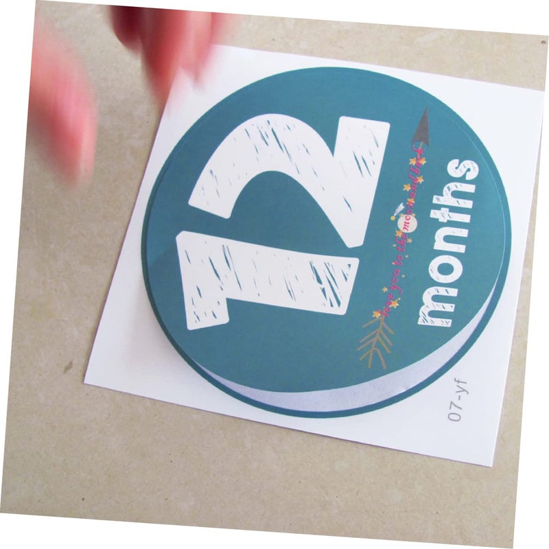 12 Pcs Baby Month Stickers Photo Props Milestone Tracking Growth Decoration - Image 5