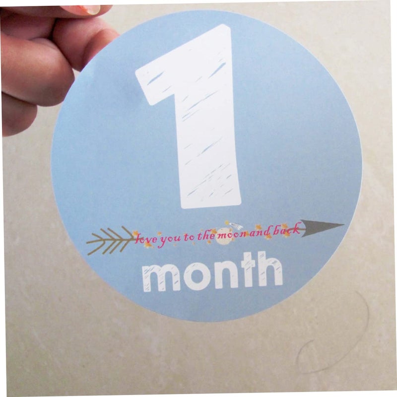 12 Pcs Baby Month Stickers Photo Props Milestone Tracking Growth Decoration - Image 4