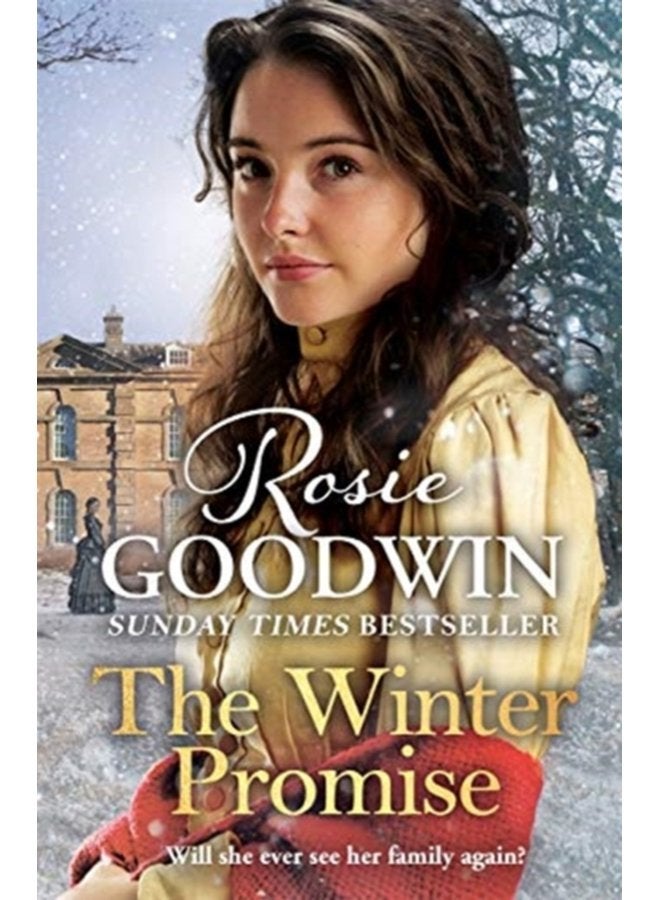 The Winter Promise A perfect cosy Victorian saga from the Sunday Times bestselling author - Hardback