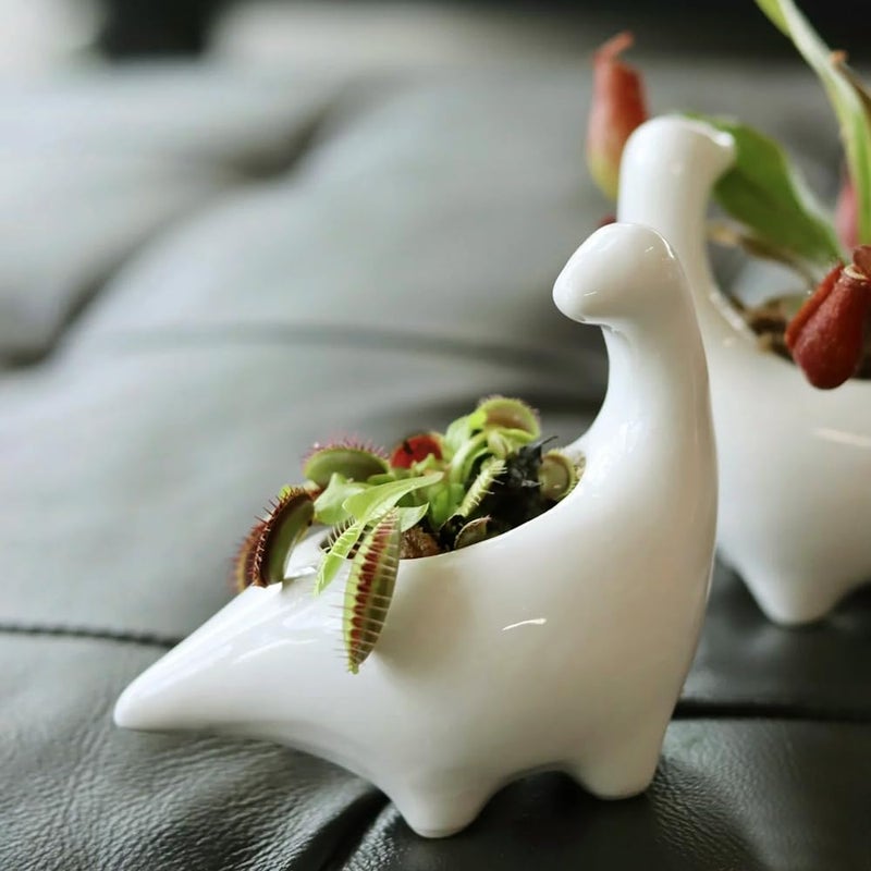 GeLive White Dinosaur Ceramic Succulent Planter Flower Plant Pot Window Box with Saucer Cartoon Animal Decor, 5 Inch, Indoor Outdoor - Image 4