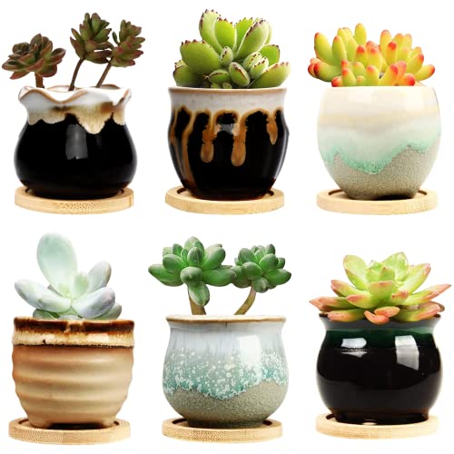 Brajttt 25 Inch Succulent Pot with DrainagePlantingFlower PotsSmall Planter for Mini Plant Ceramic Flowing Glaze Base Serial Set with Holes