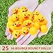 Kiddie Play كرات قفز للأطفال 25 كرة للاحتفالات مع تصميم البط - Image 4